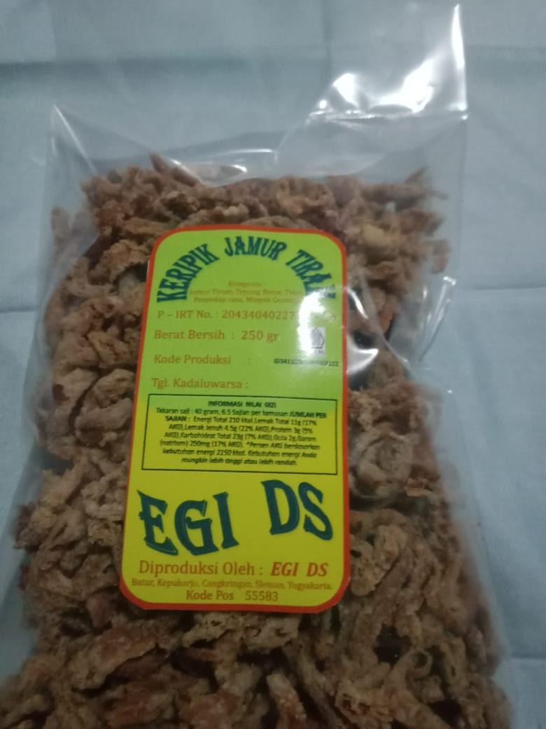 Aneka Keripik EGI DS